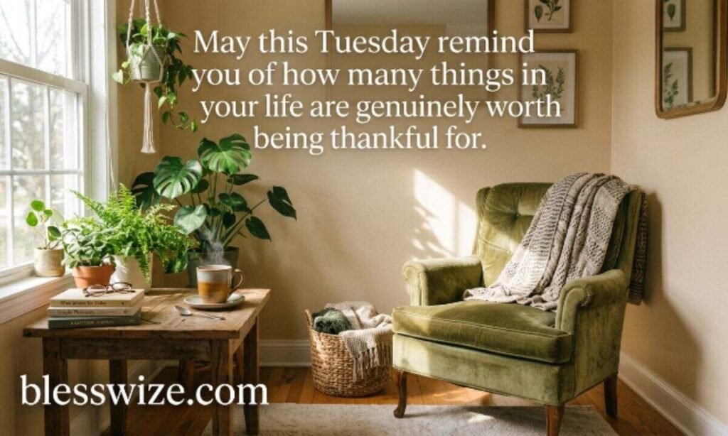 Thankful Tuesday Blessings 